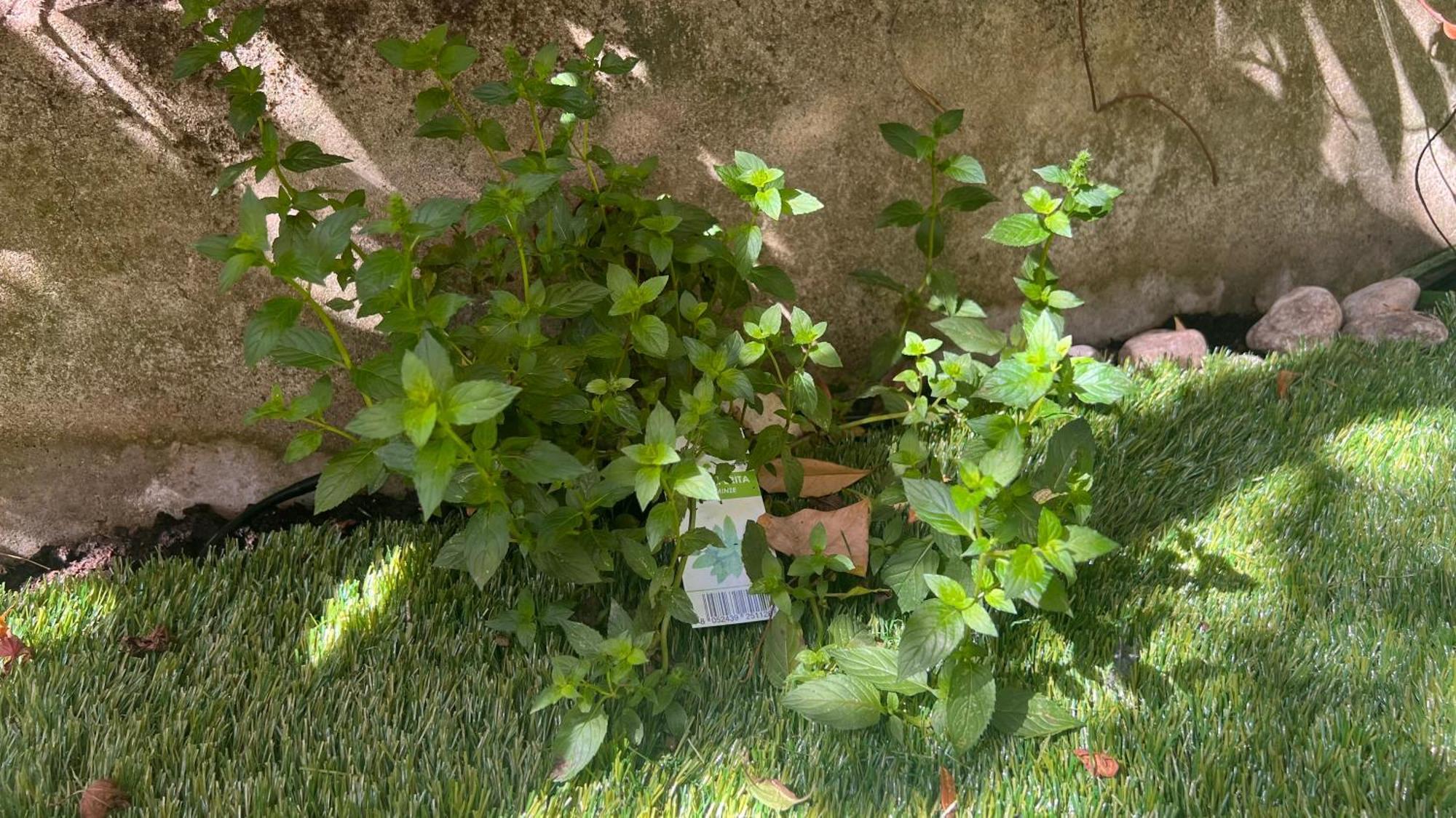 Garden Suite Bolzano Exterior photo